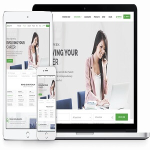 JobCareer – Job Board WordPress Theme with All Plugins